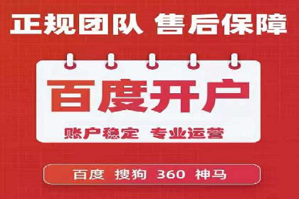百度推广策略揭秘：某行业领头羊的成功经验